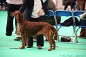 Crufts2011 118